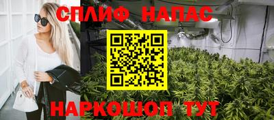 jwh Новозыбков